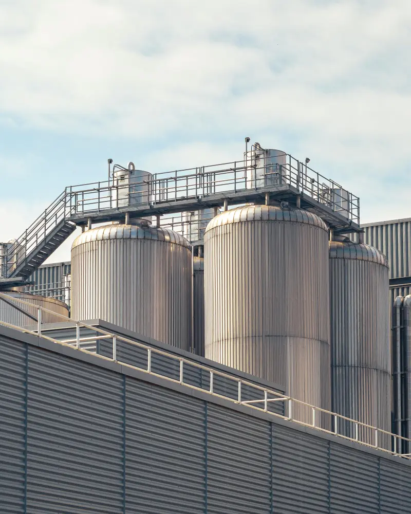 Biofuel processing facility